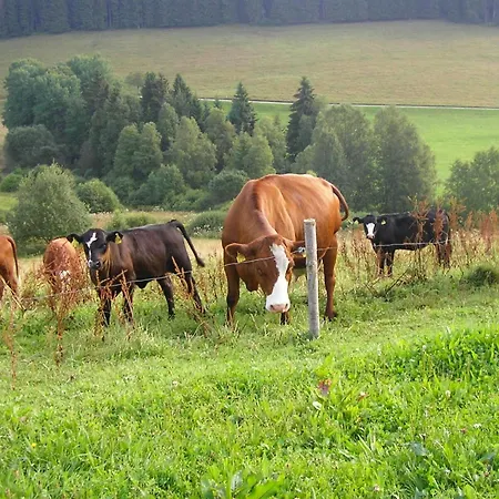 Rutscherhof Breitnau Exterior foto